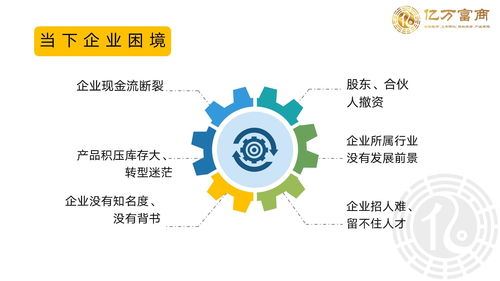 海外上市企业管理与免费企业培训 软件开发领域的亿万富商之道
