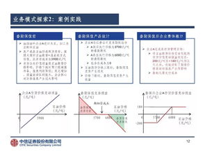 中信证券薛继锐 我国证券公司参与大宗商品业务的实践与探索——软件开发视角